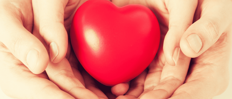 As 3 Leis do Amor de Bert Hellinger: O que são? 7 As 3 Leis do Amor de Bert Hellinger